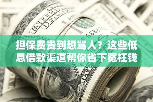 北京担保费贵到想骂人？这些低息借款渠道帮你省下冤枉钱