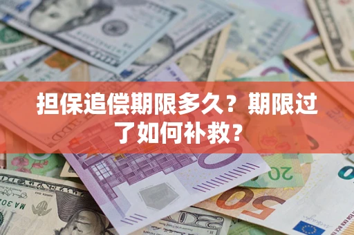 北京担保追偿期限多久？期限过了如何补救？