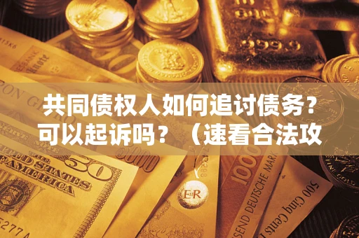 北京共同债权人如何追讨债务？可以起诉吗？（速看合法攻略）